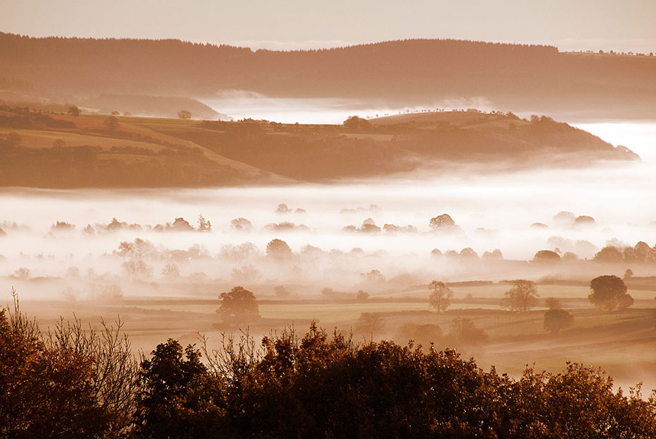 Misty morning in the Shrophshire Hills